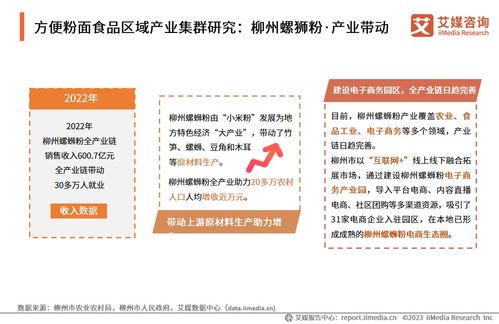 技術(shù)賦能與消費驅(qū)動 2024年中國方便粉面食品行業(yè)洞察與趨勢展望——基于中國食品科學(xué)技術(shù)學(xué)會與艾媒咨詢研究報告的交流探討